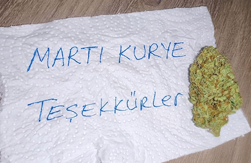 Kullanıcı Görseli